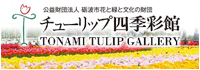チューリップ四季彩館