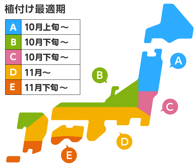 植付け最適期