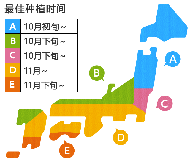 植付け最適期