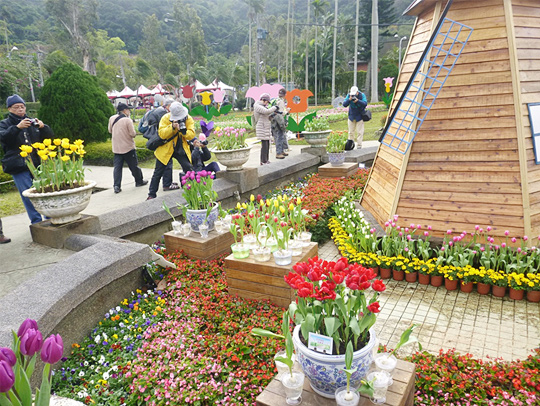 2018年士林官邸郁金香展「郁金香展」