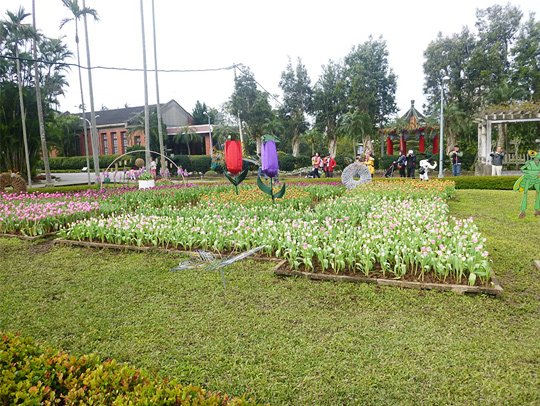 2018年士林官邸郁金香展「郁金香展」