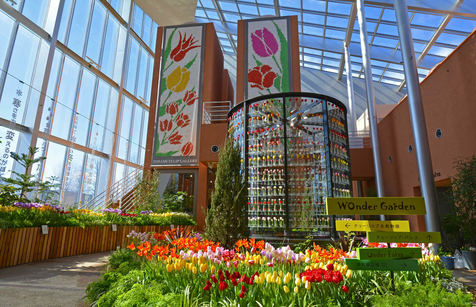 鬱金香四季彩館