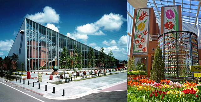 鬱金香四季彩館